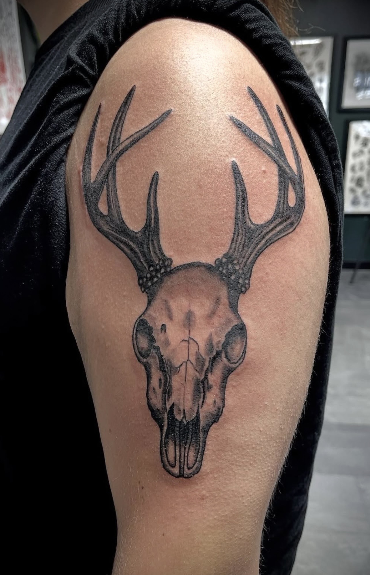 Black and grey deer skull shoulder tattoo