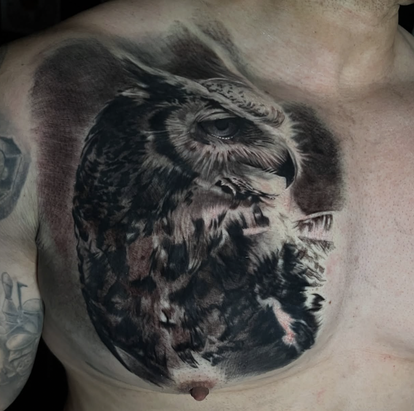 Owl chest piece black and grey realism